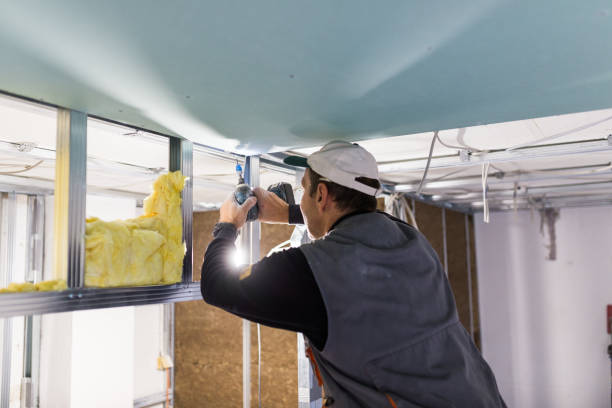 Best Insulation Installation Services in Brandywine, MD