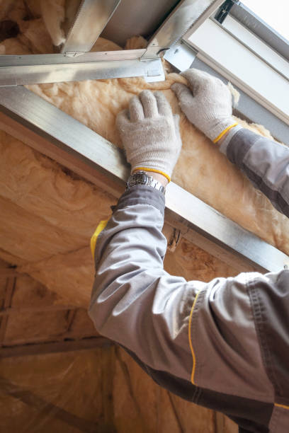 Best Insulation Maintenance and Repair in Brandywine, MD